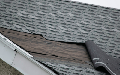 Are Asphalt Shingles Slippery? Understanding the Risks and Solutions