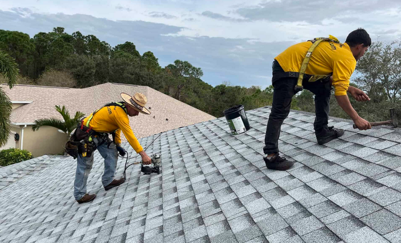 cheap roof repair in Delaware